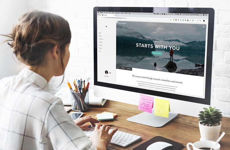 Web Designer: how to choose a good professional?